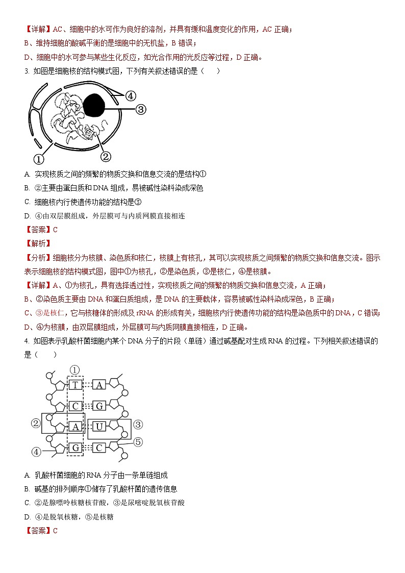 2023年山东省夏季普通高中学业水平合格考试生物模拟卷03（解析版）第2页