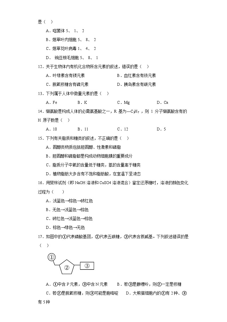 专题一 组成细胞的物质和细胞结构（原卷版）第2页