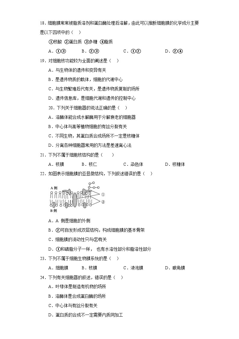 专题一 组成细胞的物质和细胞结构（原卷版）第3页