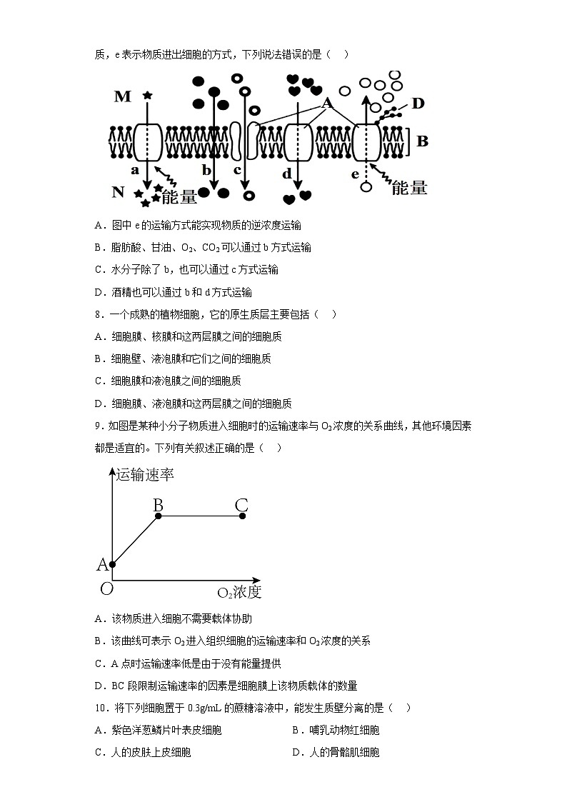 专题二 物质运输及能量供应——2023年高中学业水平考试生物复习必刷题（江苏专用）02