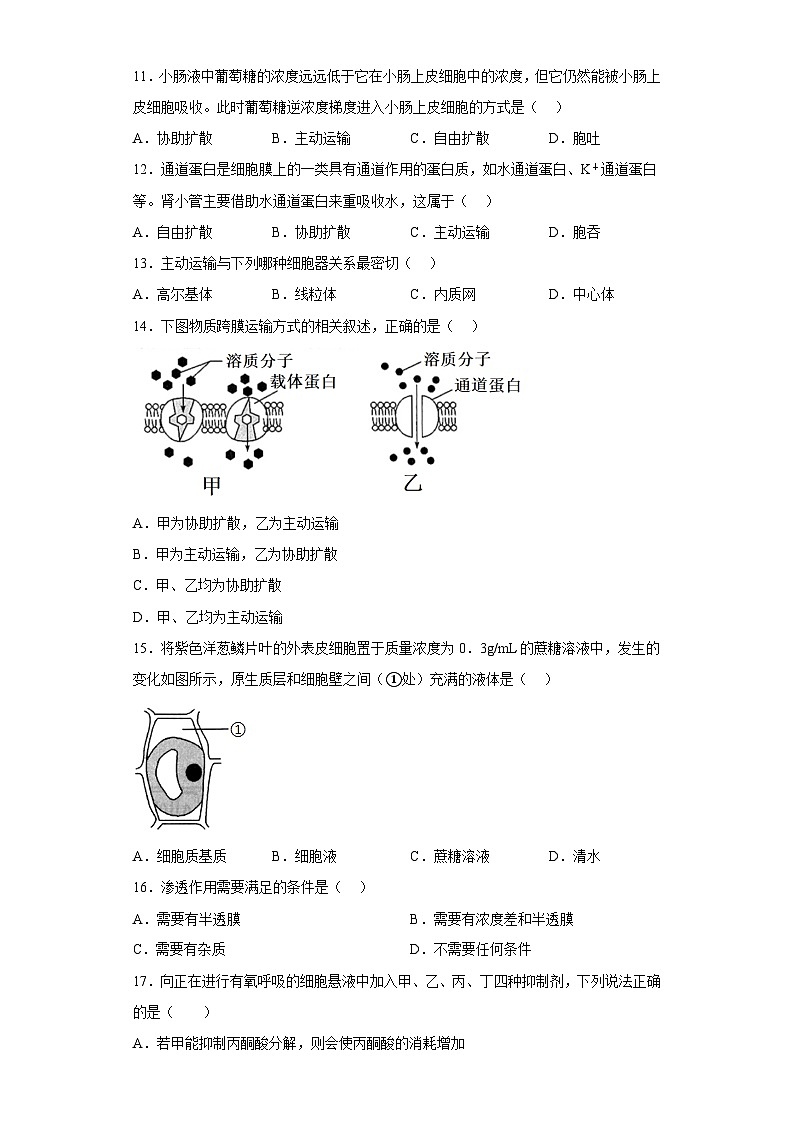 专题二 物质运输及能量供应——2023年高中学业水平考试生物复习必刷题（江苏专用）03