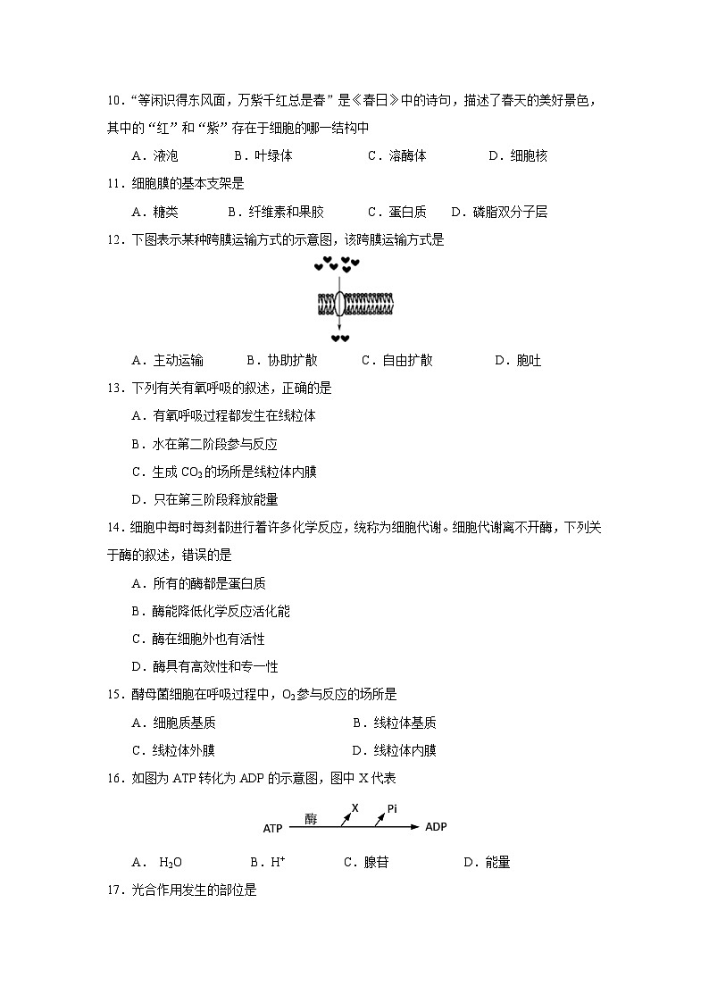 江苏省2023年学业水平合格性考试模拟试卷三——2023年高中学业水平考试生物复习必刷题（江苏专用）02