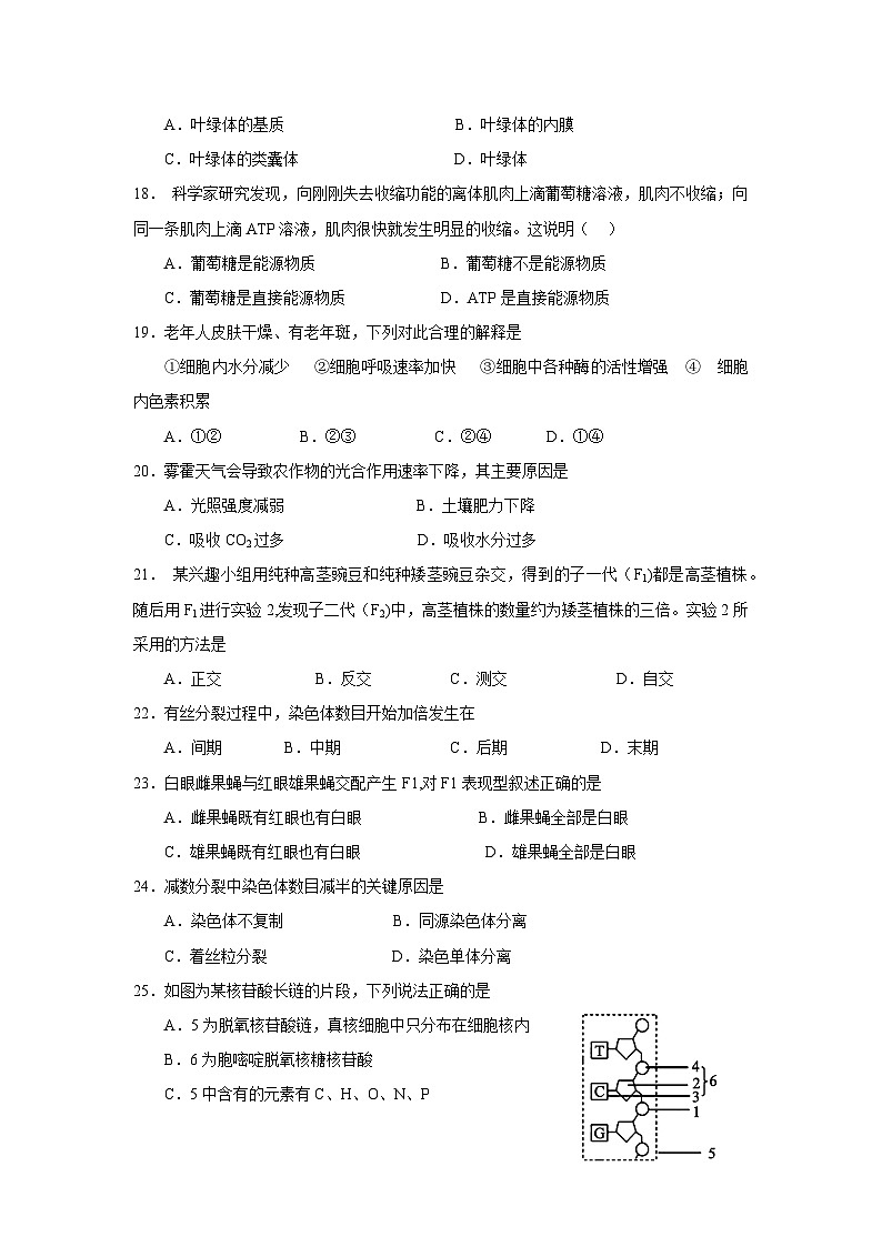 江苏省2023年学业水平合格性考试模拟试卷三——2023年高中学业水平考试生物复习必刷题（江苏专用）03