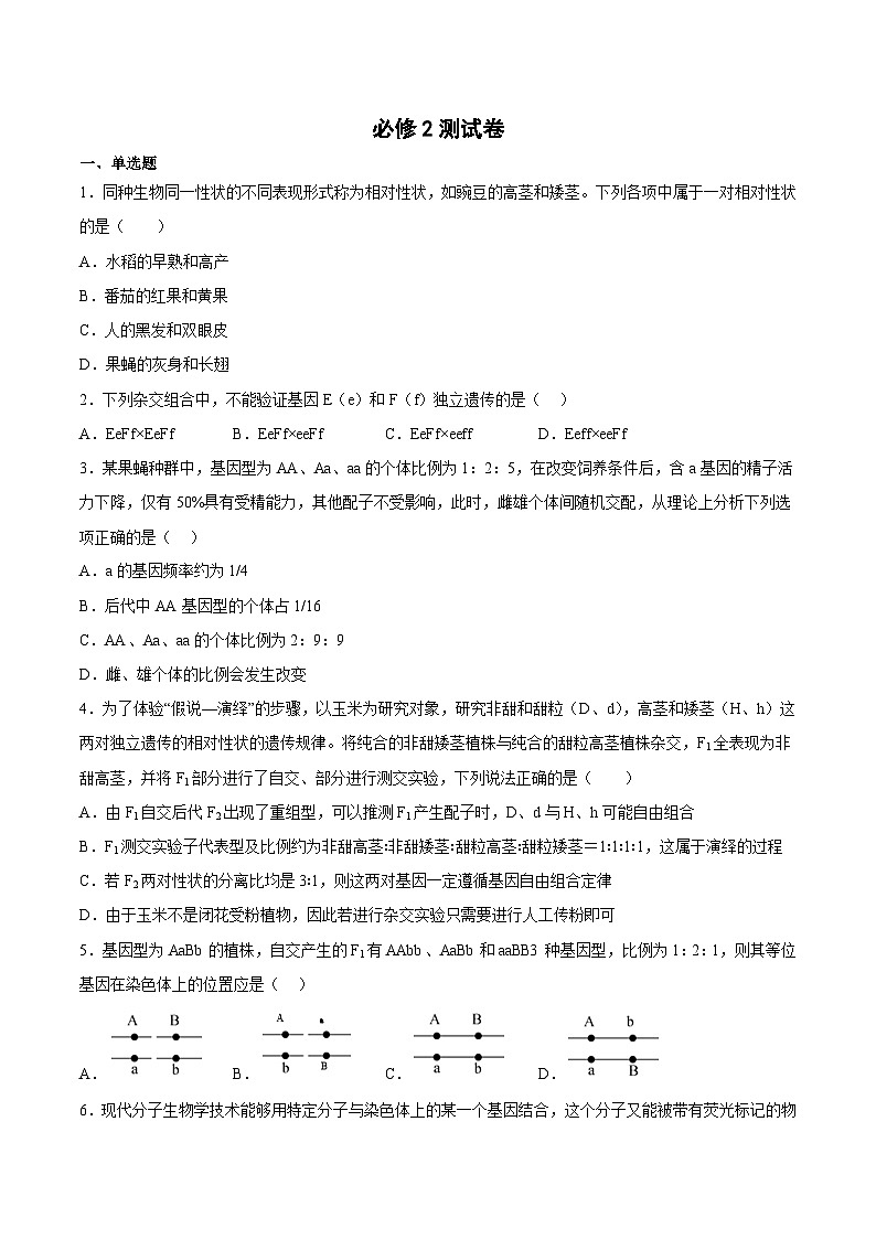 必修2测试卷——2023年高中生物学业水平考试专项精讲+测试01