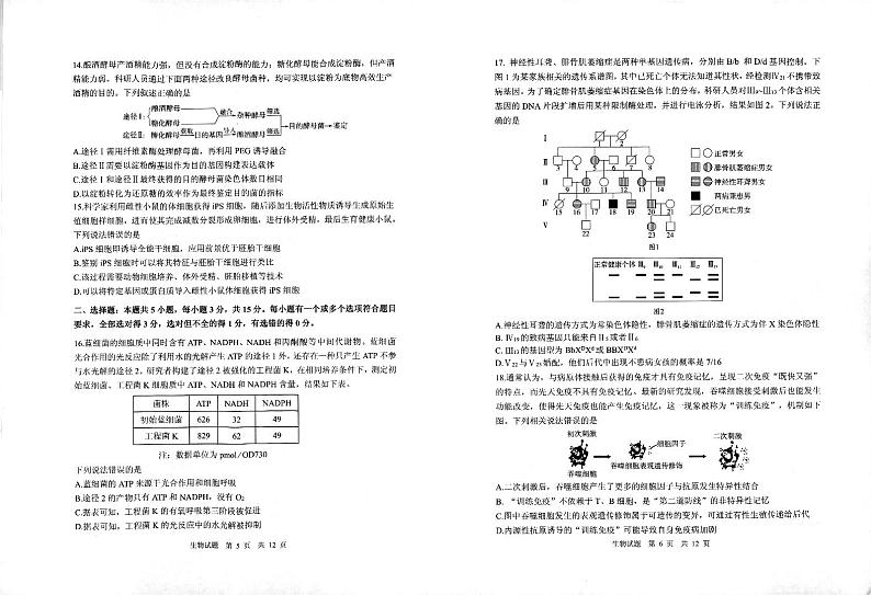 生物第3页