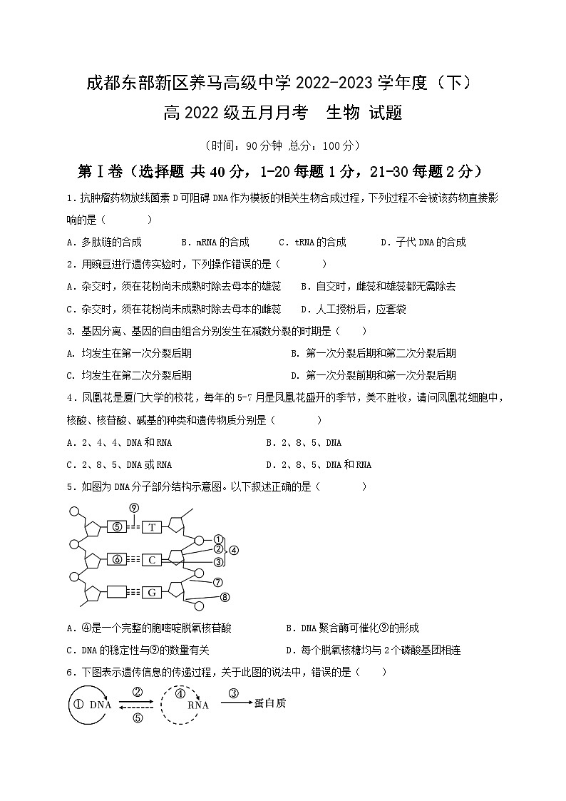 四川省成都东部新区养马高级中学2022-2023学年高一下学期5月月考生物试题及答案01