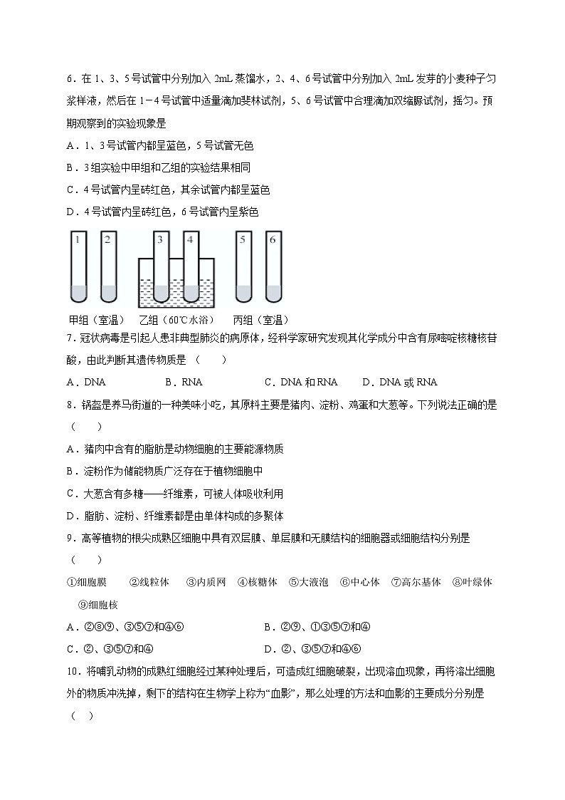 四川省成都东部新区养马高级中学2022-2023学年高二下学期5月月考生物试题及答案02