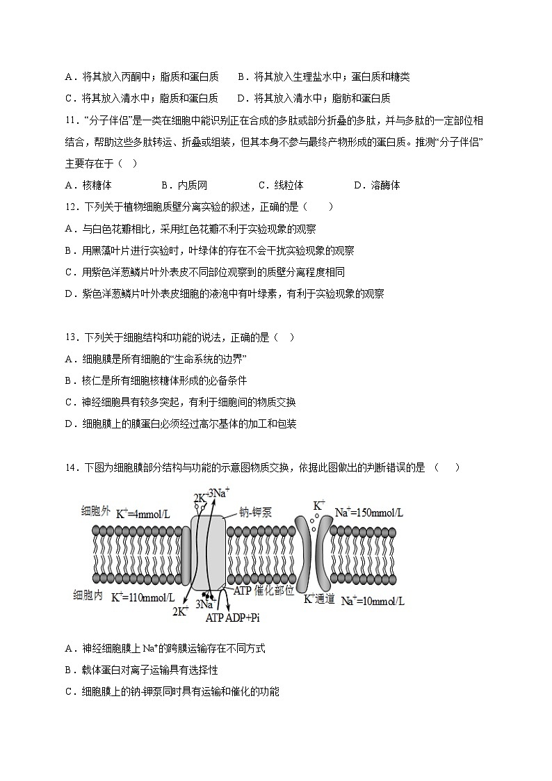 四川省成都东部新区养马高级中学2022-2023学年高二下学期5月月考生物试题及答案03