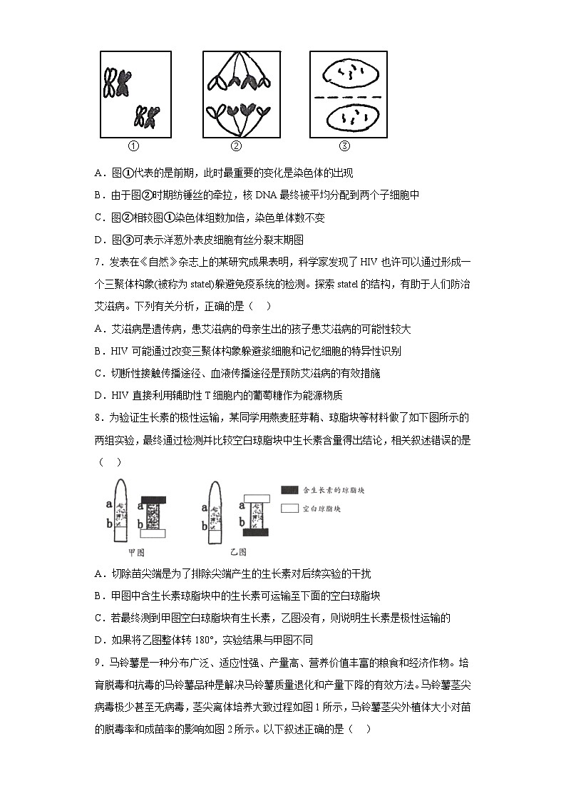 2023届浙江省北斗新盟高三6月联合考试生物试题（无答案）第3页