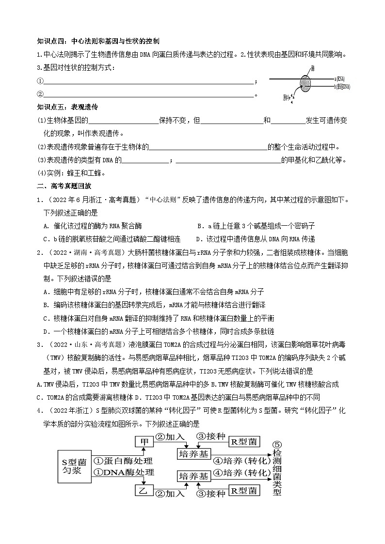 2024届高考生物一轮复习 基因的表达导学案第2页