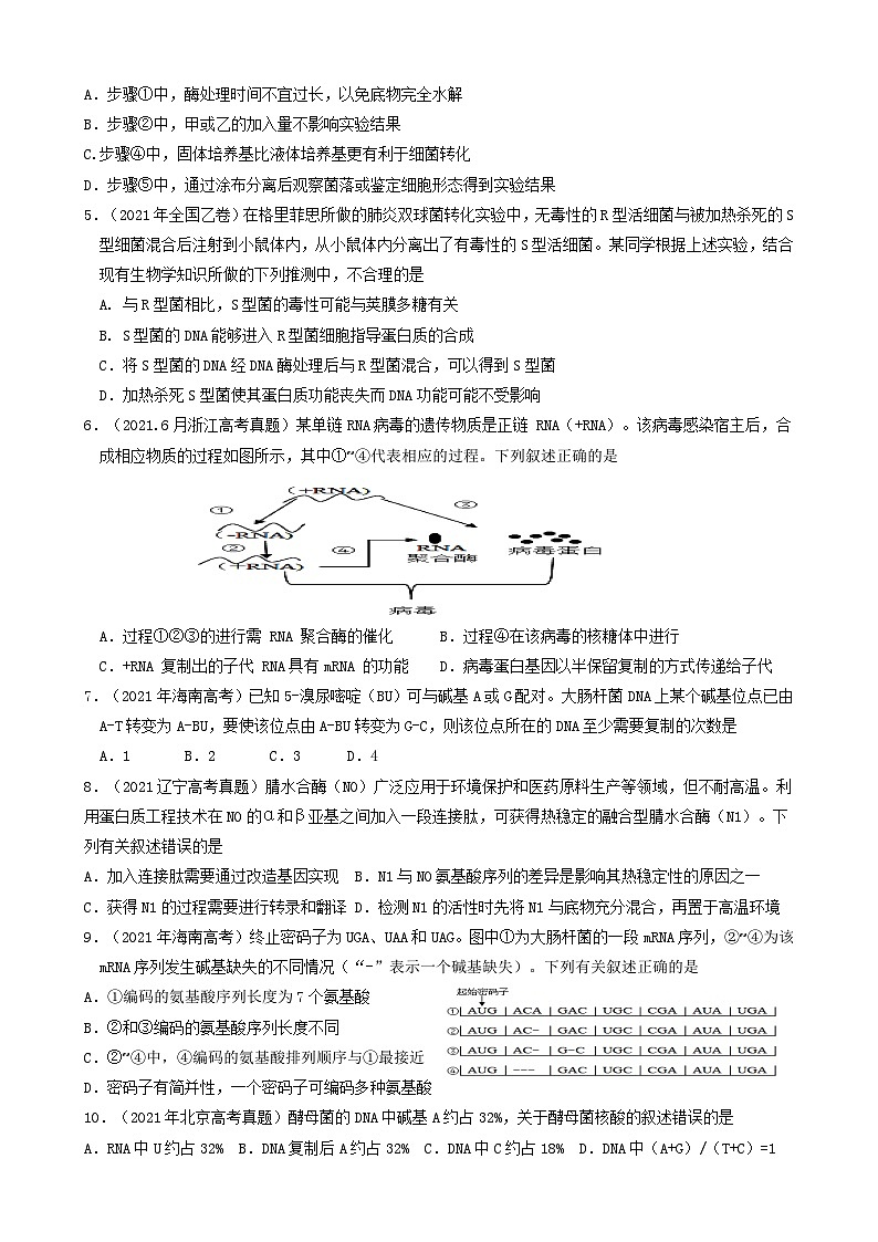 2024届高考生物一轮复习 基因的表达导学案第3页