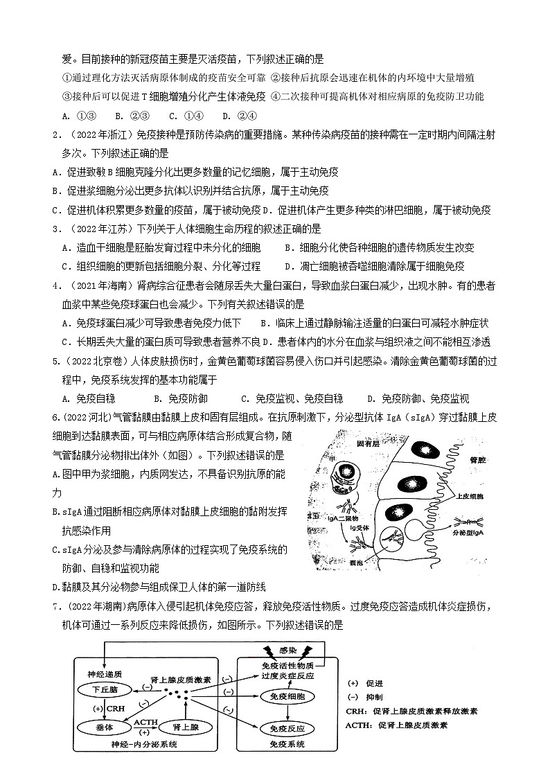2024届高考生物一轮复习 免疫调节导学案03