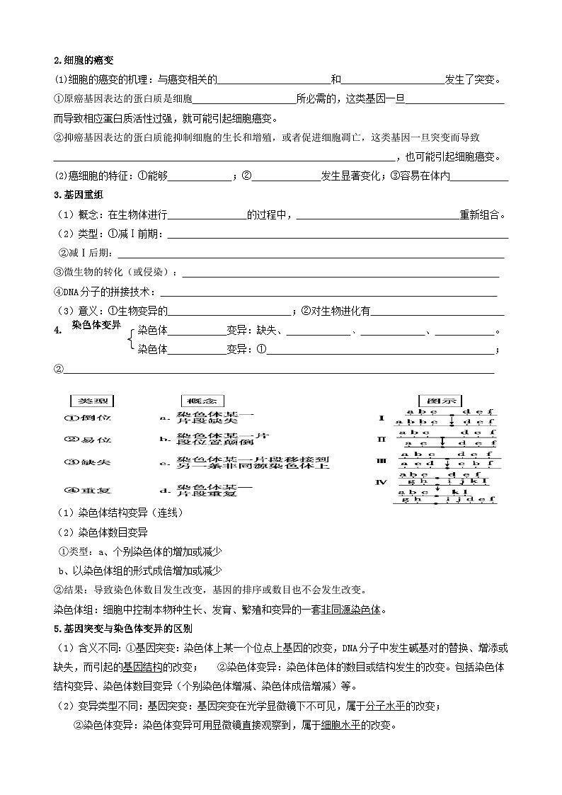 2024届高考生物一轮复习 生物的变异导学案第2页