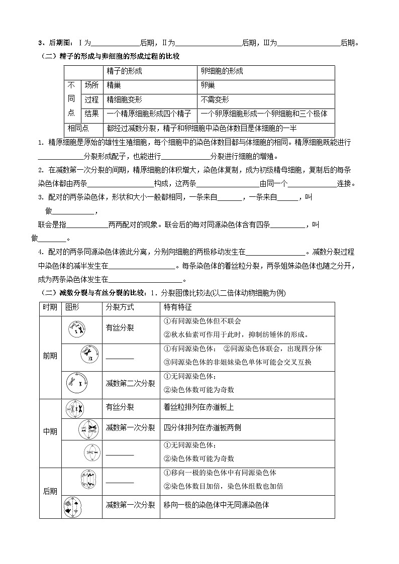 2024届高考生物一轮复习 细胞的生命历程导学案03