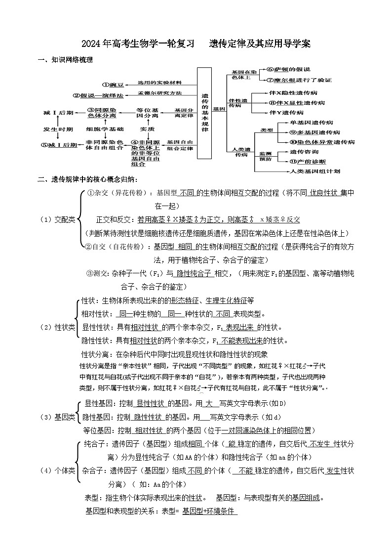 2024届高考生物一轮复习 遗传定律及其应用导学案第1页