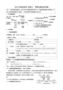 2024届高考生物一轮复习 种群及其动态导学案