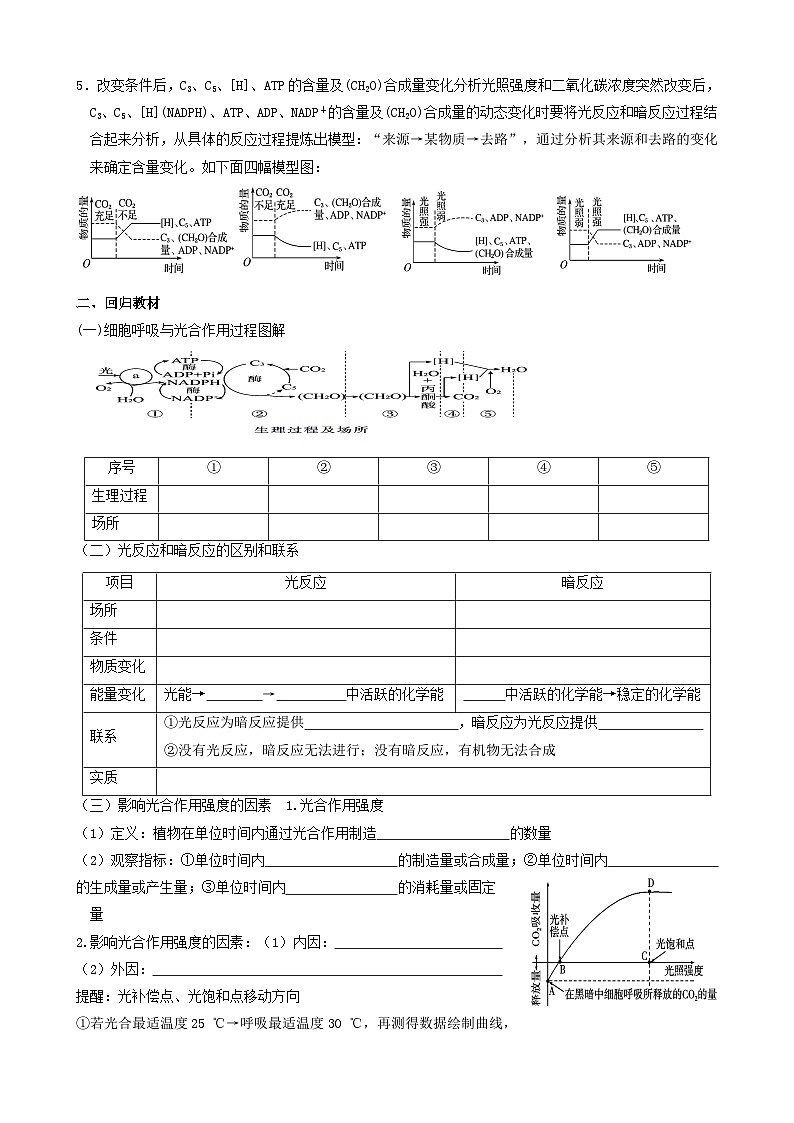 2024届高三生物一轮复习 光合作用导学案第2页