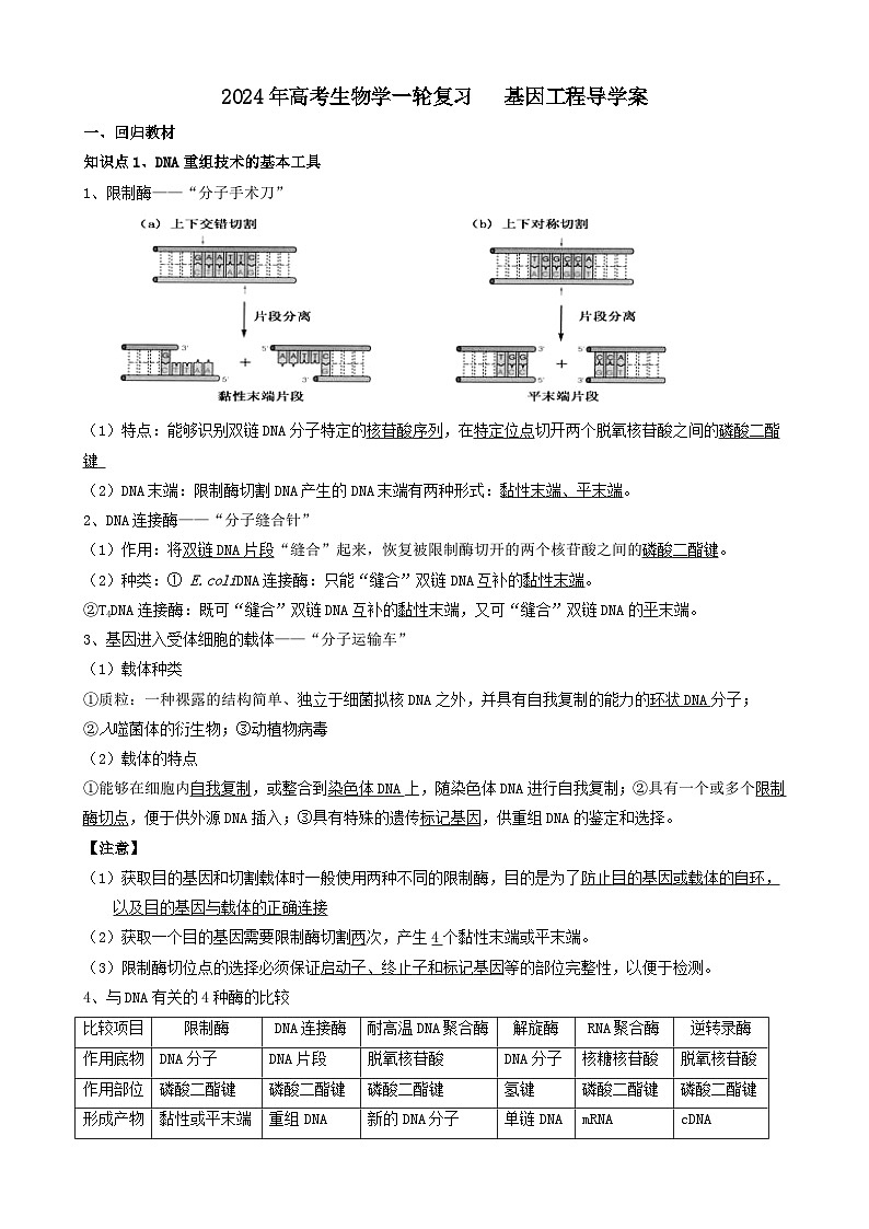 2024届高三生物一轮复习 基因工程导学案第1页