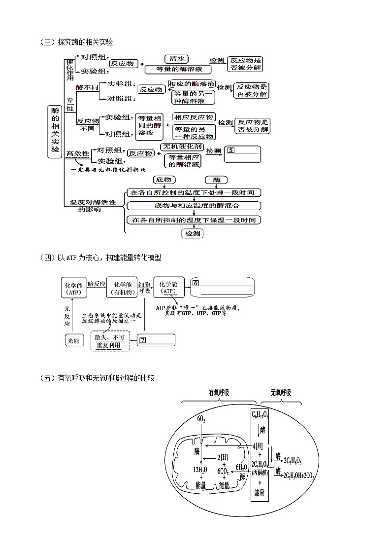 2024届高三生物一轮复习 细胞代谢导学案第2页
