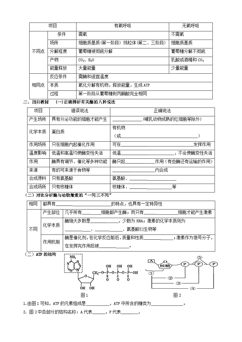 2024届高三生物一轮复习 细胞代谢导学案第3页