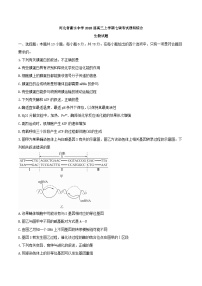 【全国百强校word】河北省衡水中学2018届高三上学期七调考试理科综合生物试题