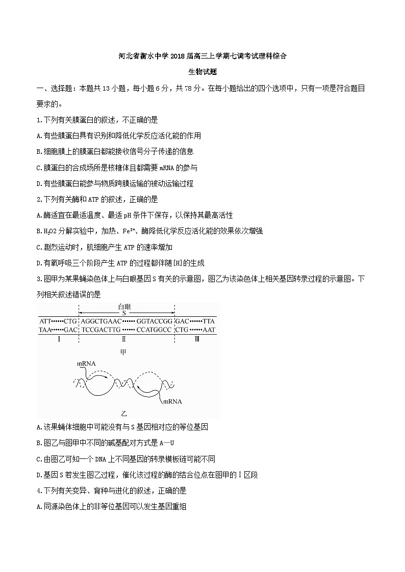 【全国百强校word】河北省衡水中学2018届高三上学期七调考试理科综合生物试题第1页
