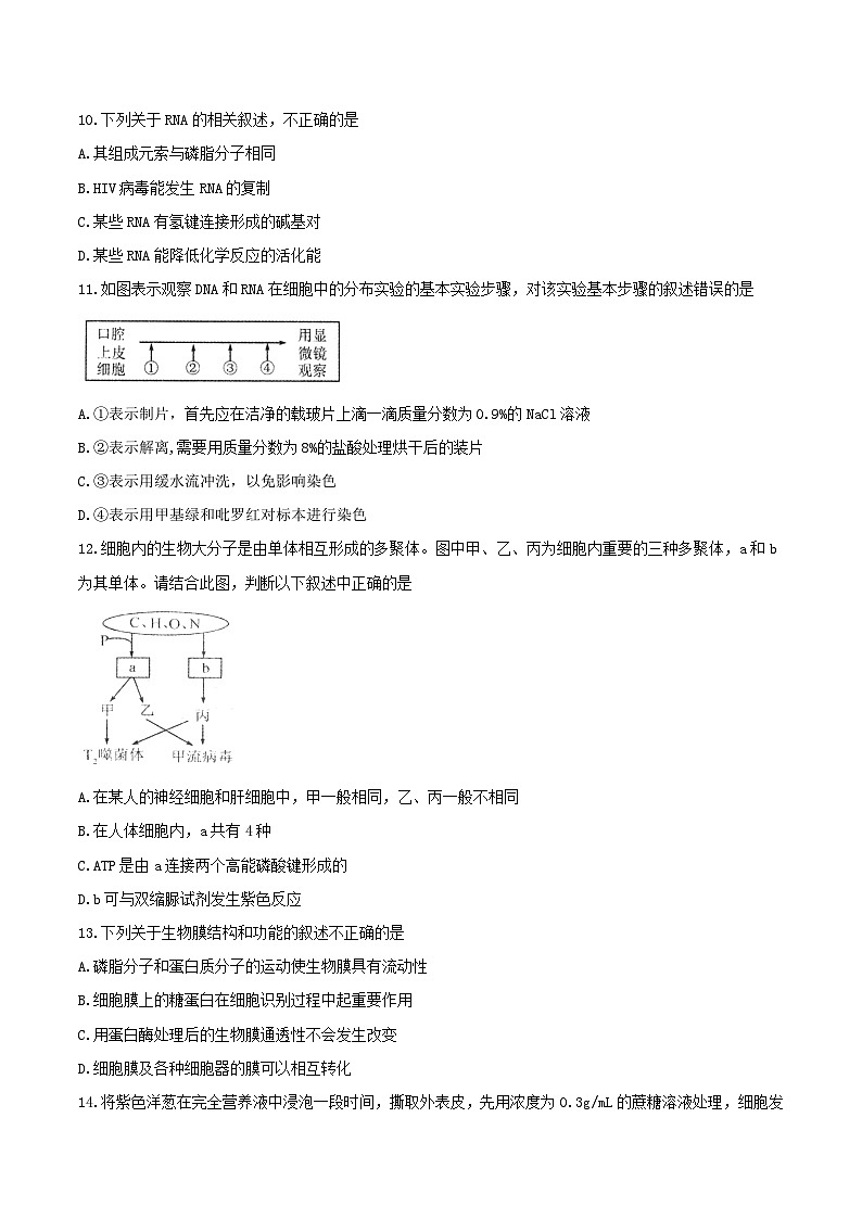 【全国百强校word】河北省衡水中学高三上学期一调考试生物试题第3页