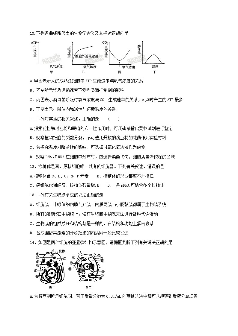 精品解析：【全国百强校】河北省衡水市中学2016届高三上学期二调生物试题解析（原卷版）第3页