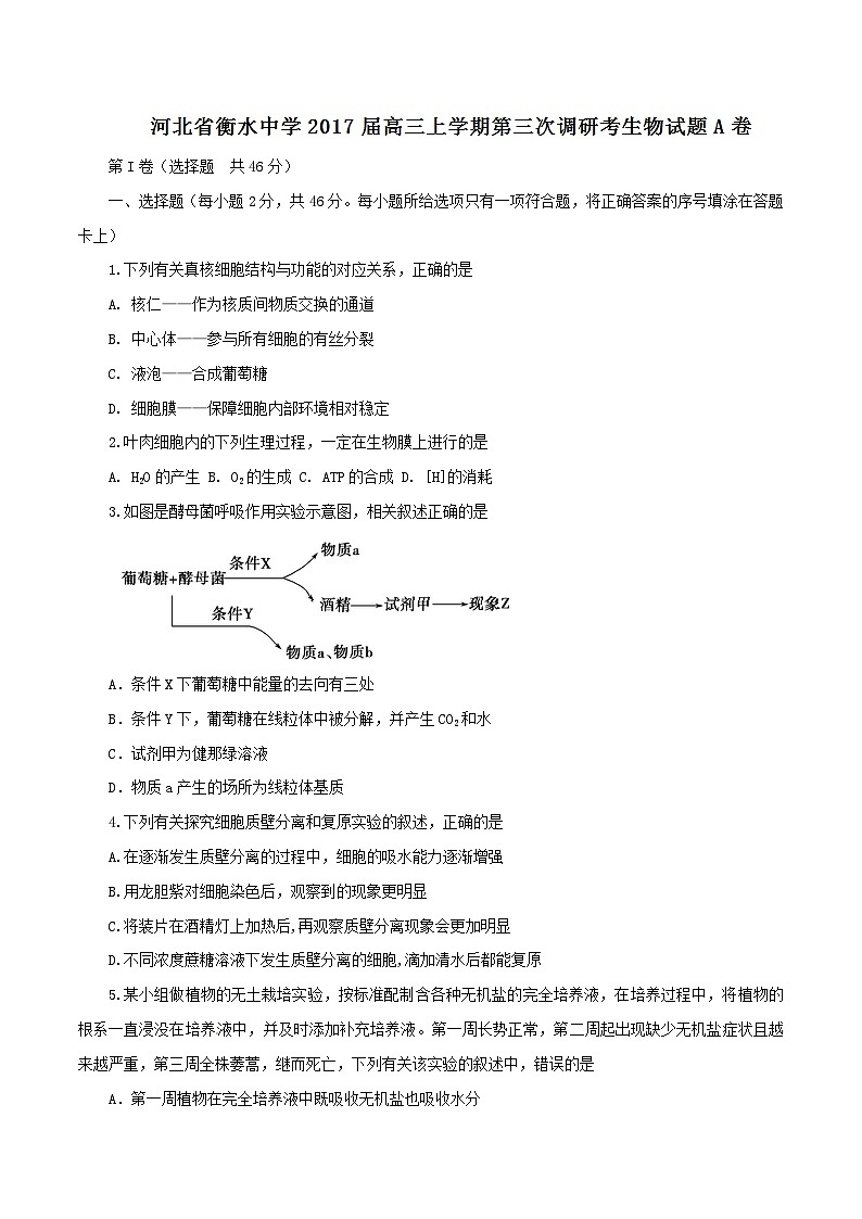 河北省衡水中学2017届高三上学期第三次调研考试（A卷）生物试题解析01