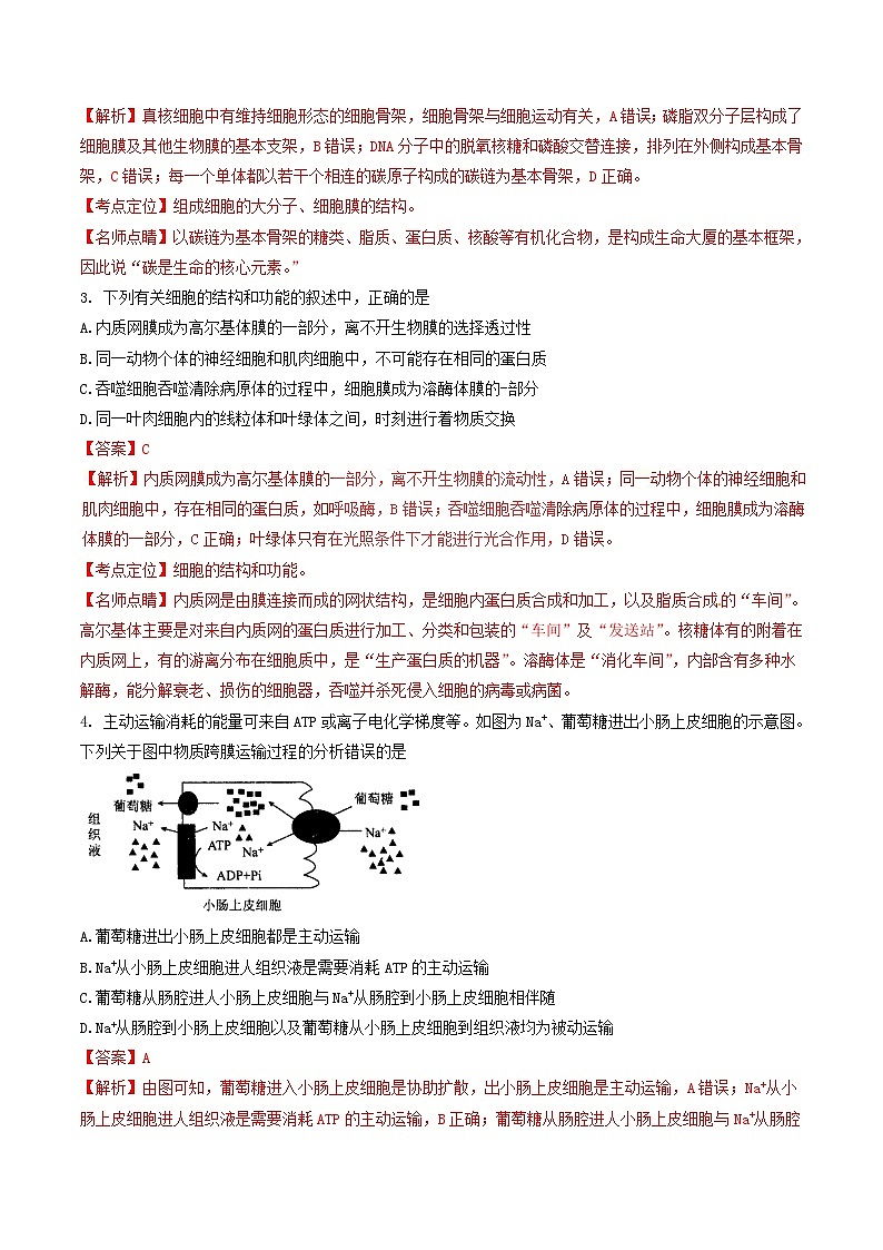 河北省衡水中学2017届高三上学期四调考试生物试题解析02