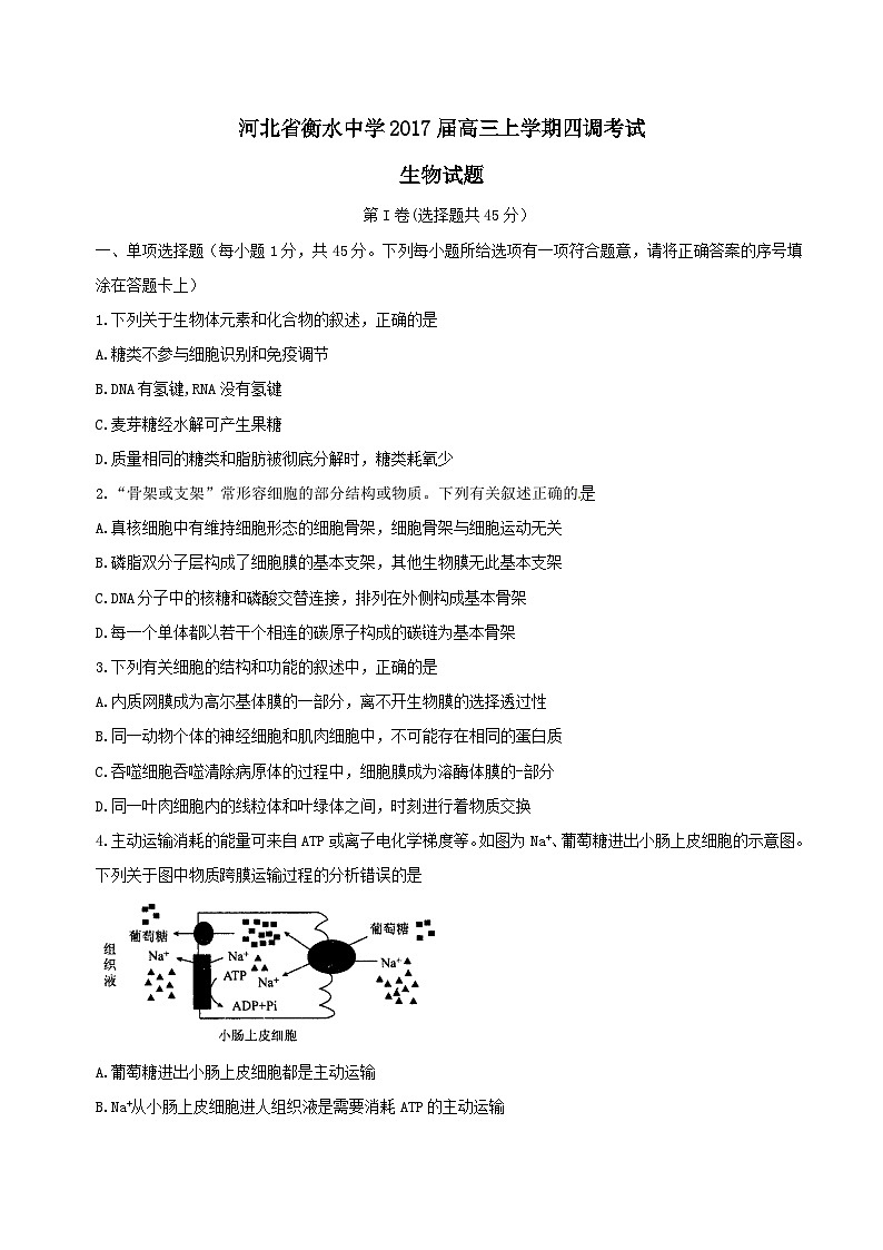 河北省衡水中学2017届高三上学期四调考试生物试题解析01