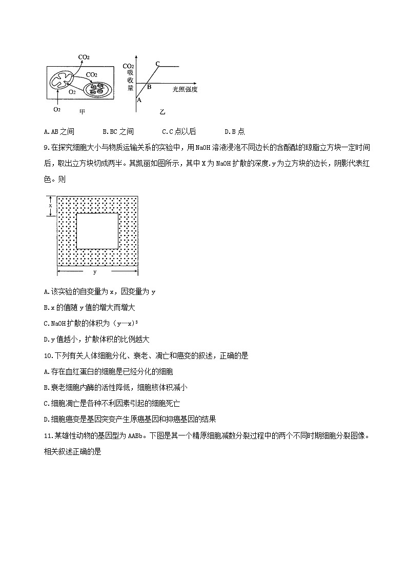 河北省衡水中学2017届高三上学期四调考试生物试题解析03