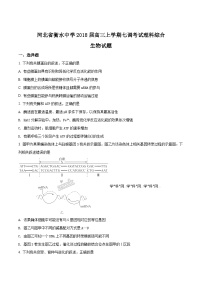 河北省衡水中学2018届高三上学期七调考试理综生物试题