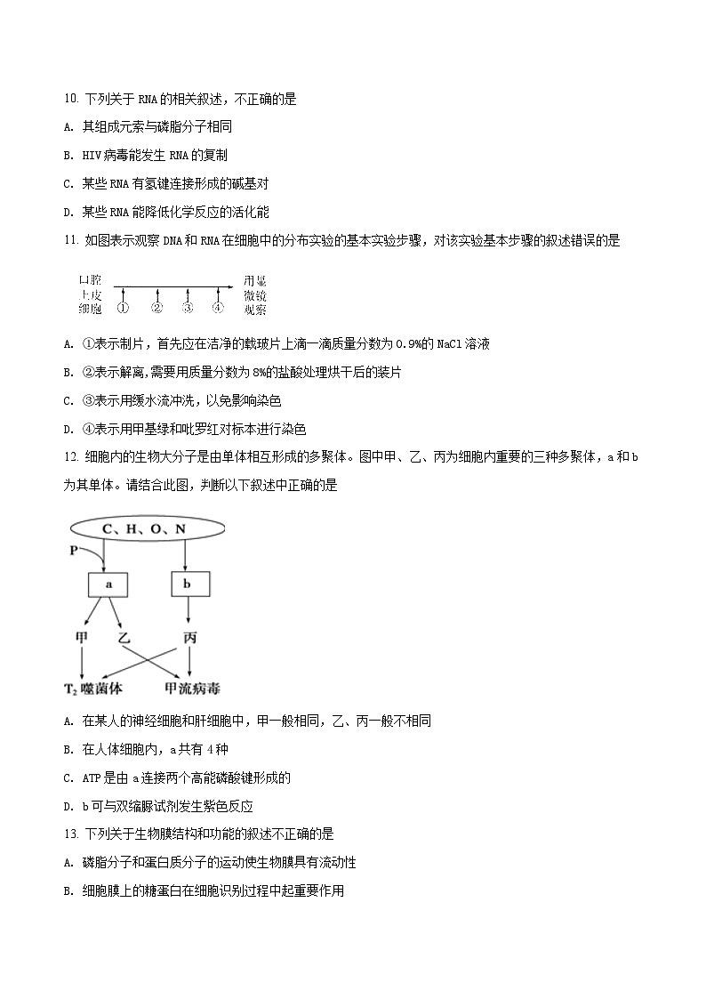 河北省衡水中学2018届高三上学期一调考试生物试题03