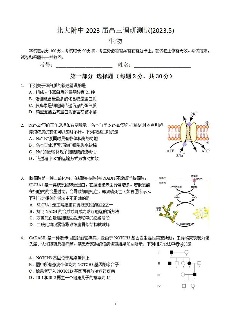 2023届北京大学附属中学高三调研测试生物试题第1页