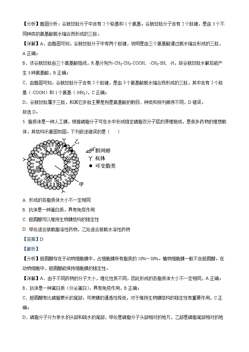 2022- 2023学年广东省汕头市潮阳区第一中学高一上学期期末生物试题（解析版）03