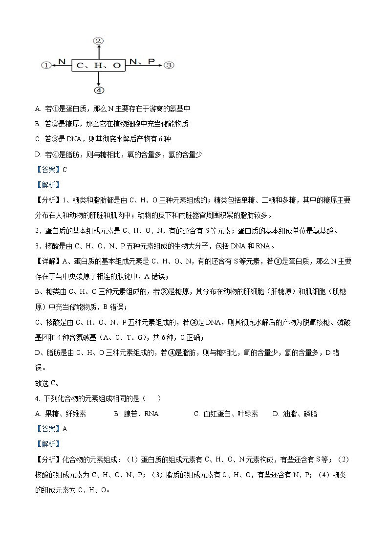 2022-2023学年广东省广州市二中高一上学期期末生物试题（解析版）第2页