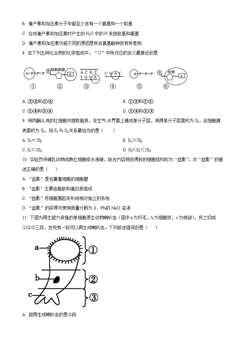 2022-2023学年广东省广州市执信中学高一上学期期末考试 生物第3页