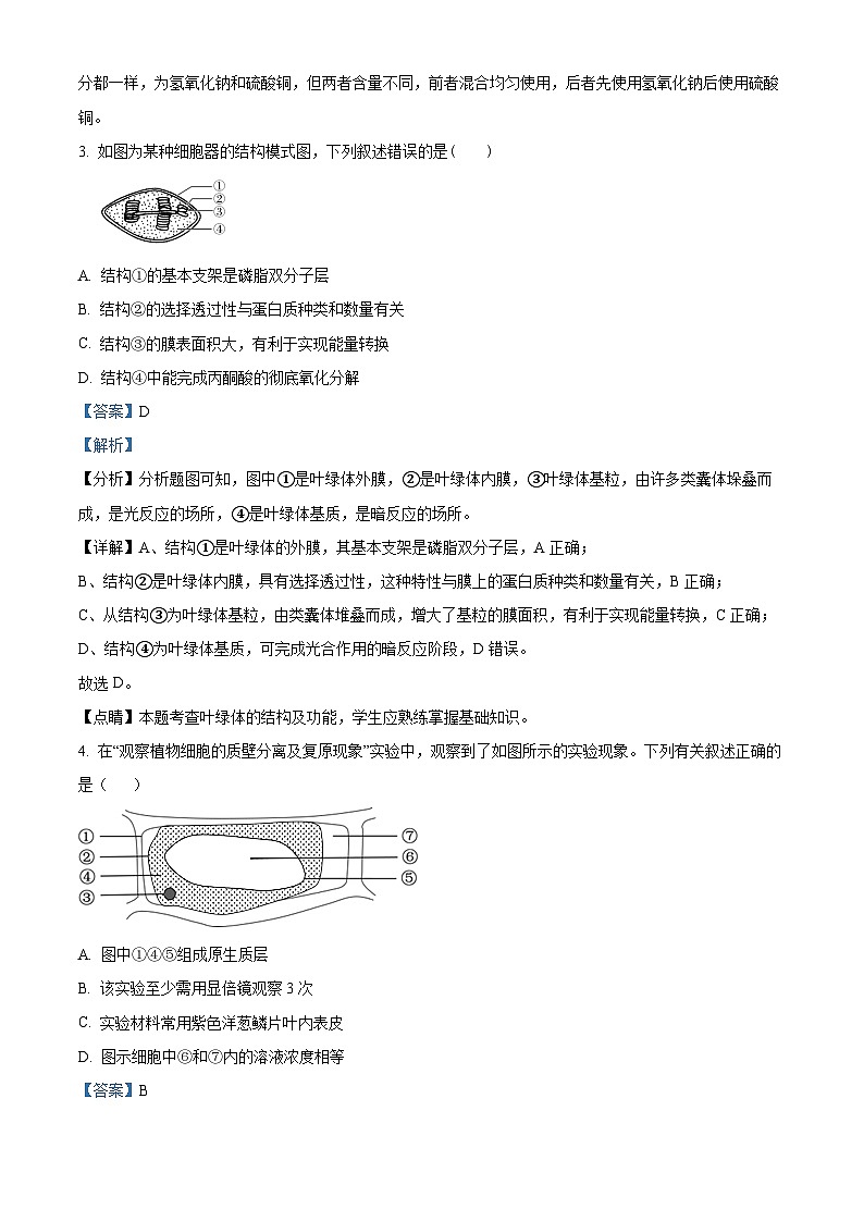 2022-2023学年广东省茂名市电白区高一上学期期末生物试题（解析版）02