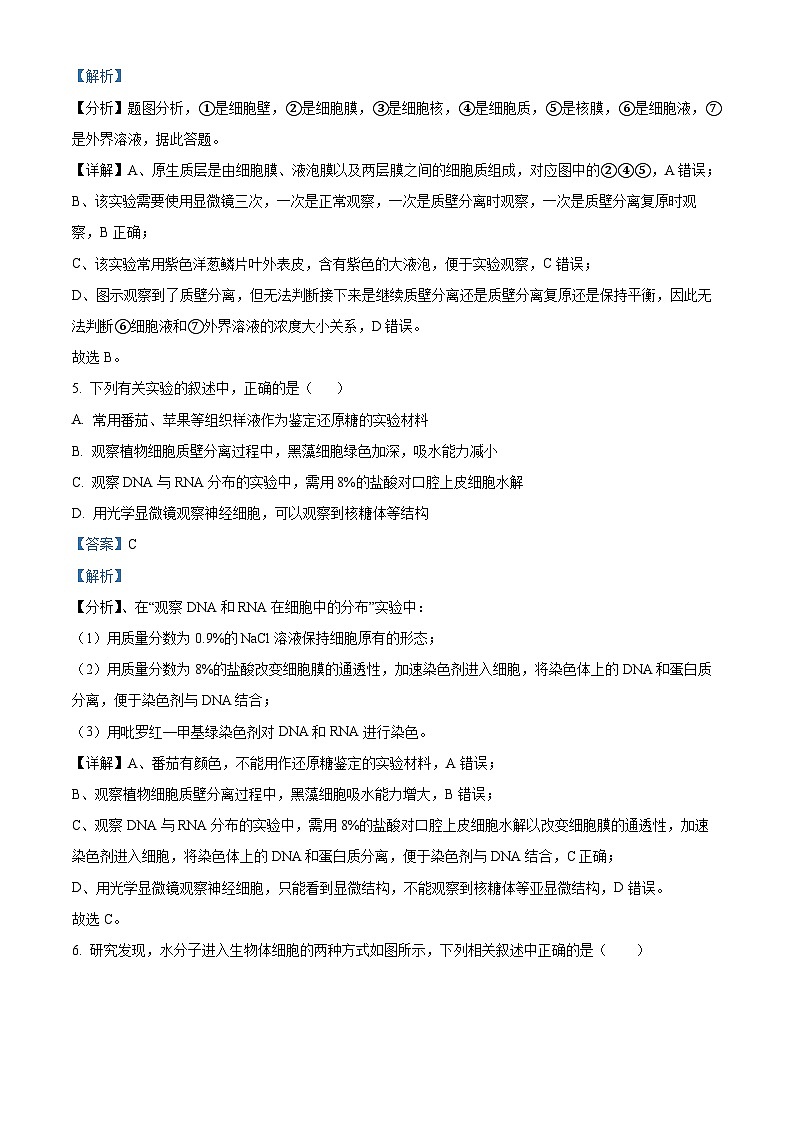 2022-2023学年广东省茂名市电白区高一上学期期末生物试题（解析版）03