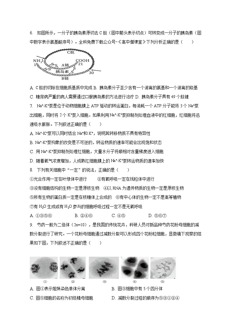 2022-2023学年广西钦州市高一上学期期末教学质量监测生物试题02