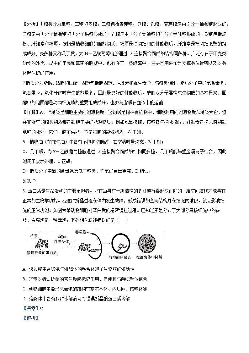 2022-2023学年河北省沧州市高一上学期期末生物试题（解析版）02