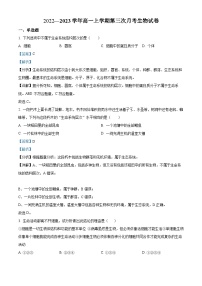 2022—2023学年河南省洛阳市洛宁县第一高级中学高一上学期第三次月考生物试题（解析版）