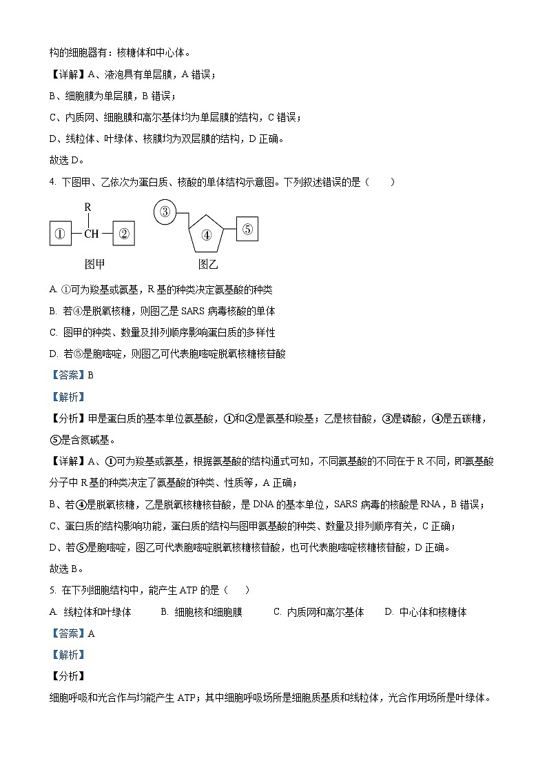 2022—2023学年河南省洛阳市洛宁县第一高级中学高一上学期期末模拟生物试题（解析版）02