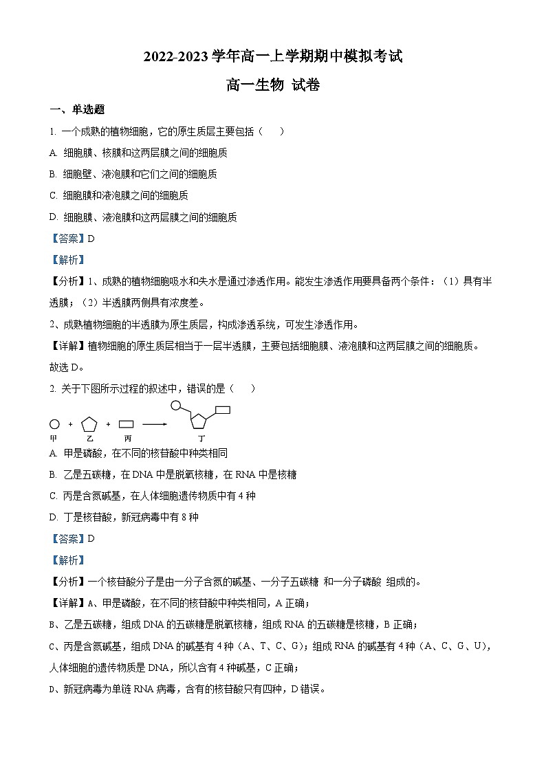 2022—2023学年河南省洛阳市洛宁县第一中学高一上学期期中模拟生物试题（解析版）第1页