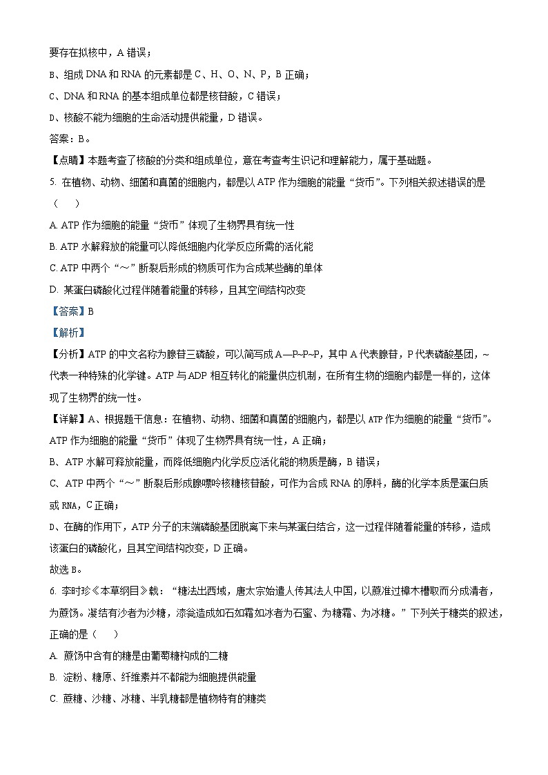 2022—2023学年河南省洛阳市洛宁县第一中学高一上学期期中模拟生物试题（解析版）第3页