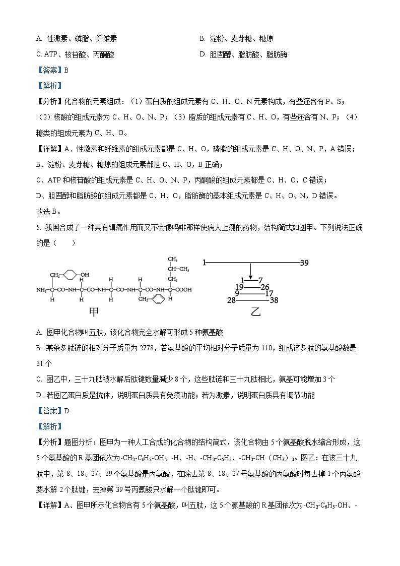 2022-2023学年河南省郑州市七中高一上学期期末生物试题（解析版）03