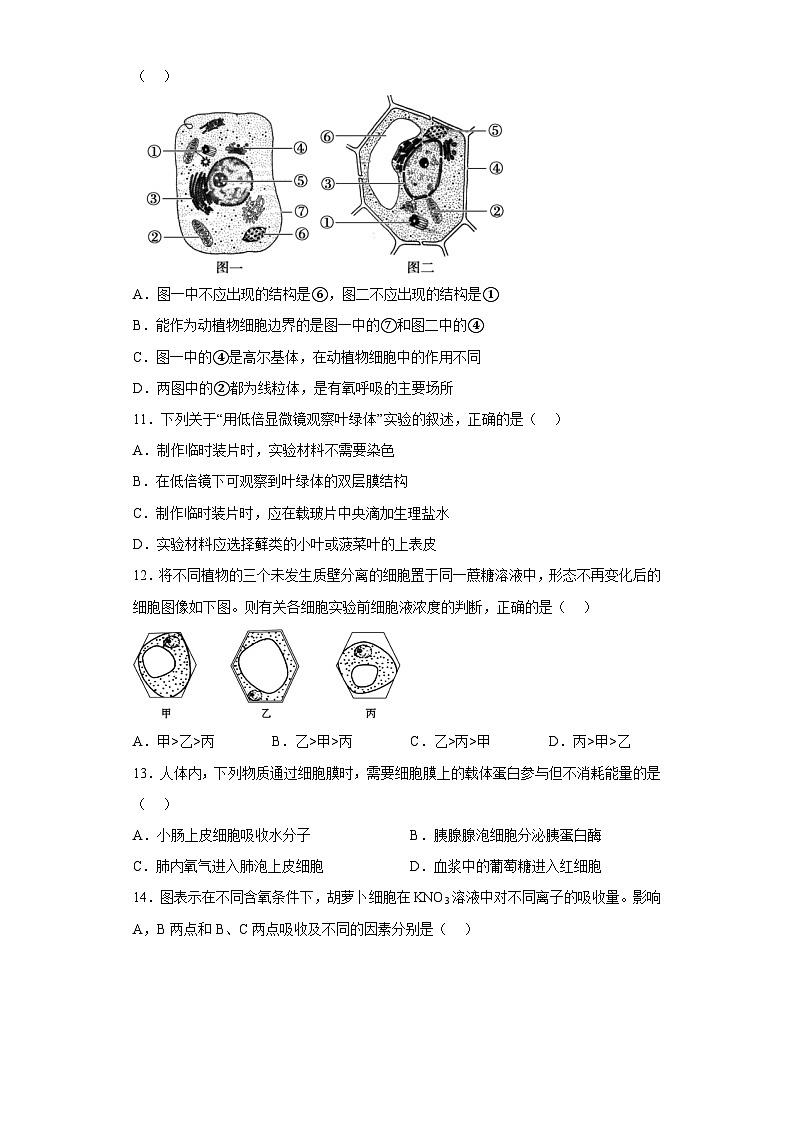 2022-2023学年黑龙江省鹤岗市第一中学高一下学期开学考试（上学期期末）生物试题03