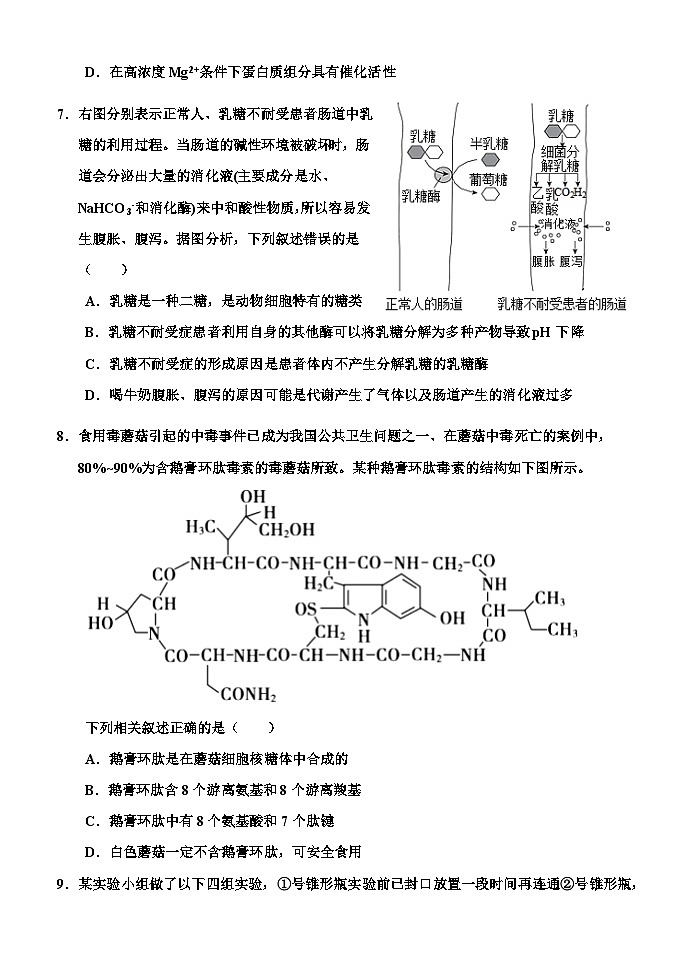 2022-2023学年湖北省孝感市孝感市第一中学学高一上学期生物测试第3页