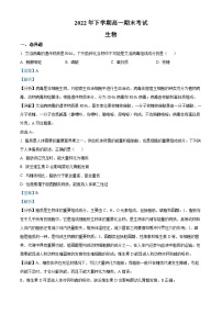 2022-2023学年湖南省娄底市四中高一上学期期末生物试题（解析版）